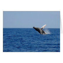 Whale of a Time Greeting Card