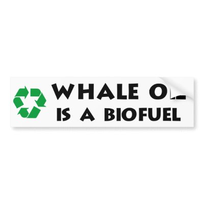 Whale Oil Is a Biofuel Bumper Stickers by myelves