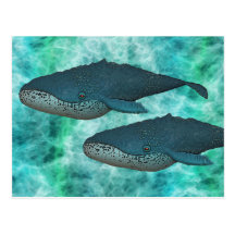 WHALE PAIR Postcard