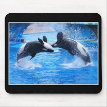 Whale Photo Mouse Pad