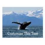 Whale Playtime; Customizable Postcards