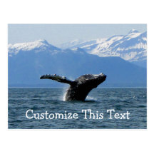 Whale Playtime; Customizable Postcards