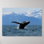 Whale Playtime; No Text Poster