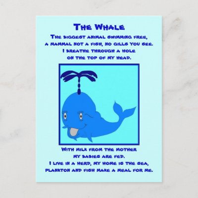 whale poems