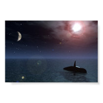 Whale posters