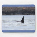 Whale: Resident Orca Whale Killer Whale mousepads
