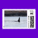 Whale: Resident Orca Whale Killer Whale stamps