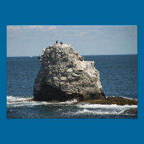 Whale Rock photography