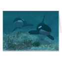 Whale Scene cards