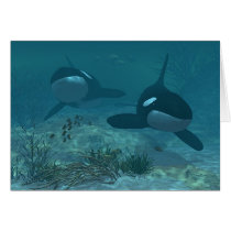Whale Scene cards by ckilmer Whale Scene cards