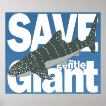 Whale Shark Poster posters