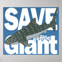 Whale Shark Poster
