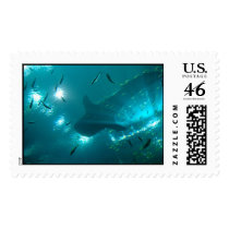 Whale Shark stamps
