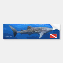 Whale Shark Sticker Bumper Sticker