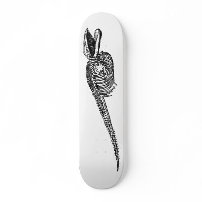 Whale Skeleton Board Skate Board by maniacvii