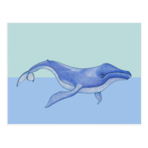 Whale solo Postcard postcards