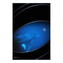 WHALE SONG posters by arteologist23 WHALE SONG posters