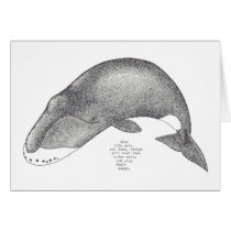 whale songs cards