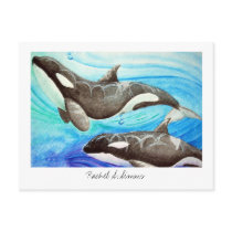 Whale Songs postcards