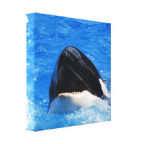 Whale Sounds Canvas Print