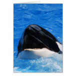 Whale Sounds Greeting Card