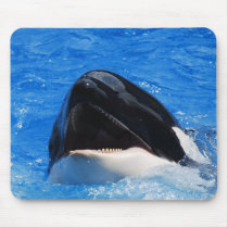 Whale Sounds Mouse Pad