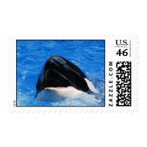 Whale Sounds Postage Stamp