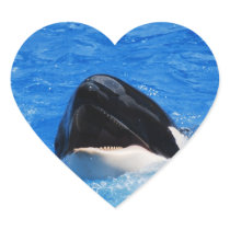 Whale Sounds Stickers
