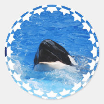 Whale Sounds Stickers