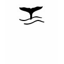 Whale Tail  Girls shirt