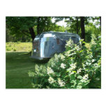 Whale Tail & Hydrangea Tin Can Trailer Postcard