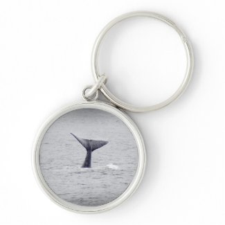 Whale Tail Key Chain keychain
