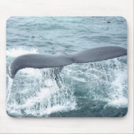 whale tail mousepad
