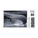 Whale Tail postage