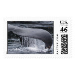 Whale Tail Postage Stamps