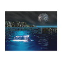 Whale Tail Postcard by natures_edge Whale Tail Postcard