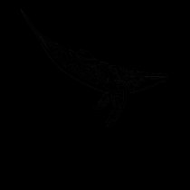 Whale t-shirts
