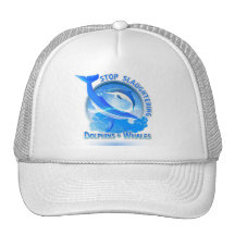 Whale WarHat LogoAA