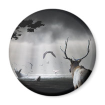 Whale Watch magnets by RW_IMAGES Whale Watch magnets