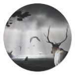 Whale Watch stickers