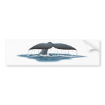 Whale Watcher Bumper Stickers