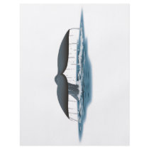 Whale Watcher Custom Flyer