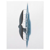 Whale Watcher letterhead by LSDmeCom Whale Watcher letterhead