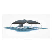 Whale Watcher photo cards by LSDmeCom Whale Watcher photo cards