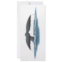 Whale Watcher Rack Card