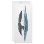 Whale Watcher Rack Card