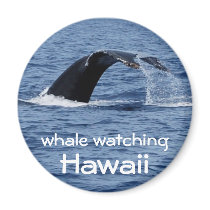 Whale Watching, Hawaii magnets by Rebecca_Reeder Whale Watching, Hawaii magnets