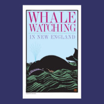 Whale Watching-Print posters