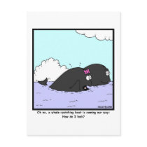 Whale Watching: Whale Cartoon Postcard