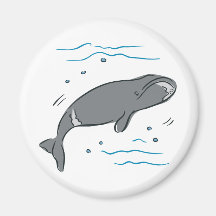 Whale Whales Marine Mammals Cetacea Ocean Art Refrigerator Magnets